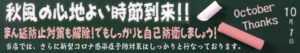 今月のお買い得チラシ、セール・キャンペーン情報配信